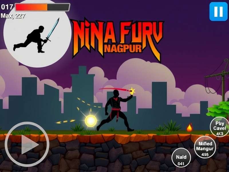 Ninja Fury Nagpur Gameplay Screenshot